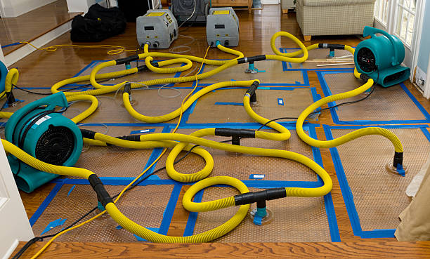 Professional Crawl Space Water Removal technician working in New Lisbon, IN